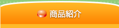商品紹介